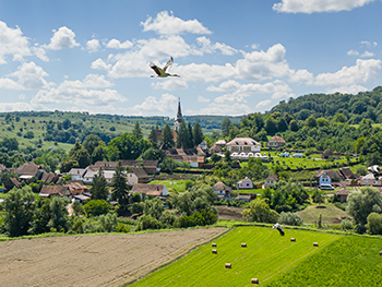 Permalink to: Proiectele noastre